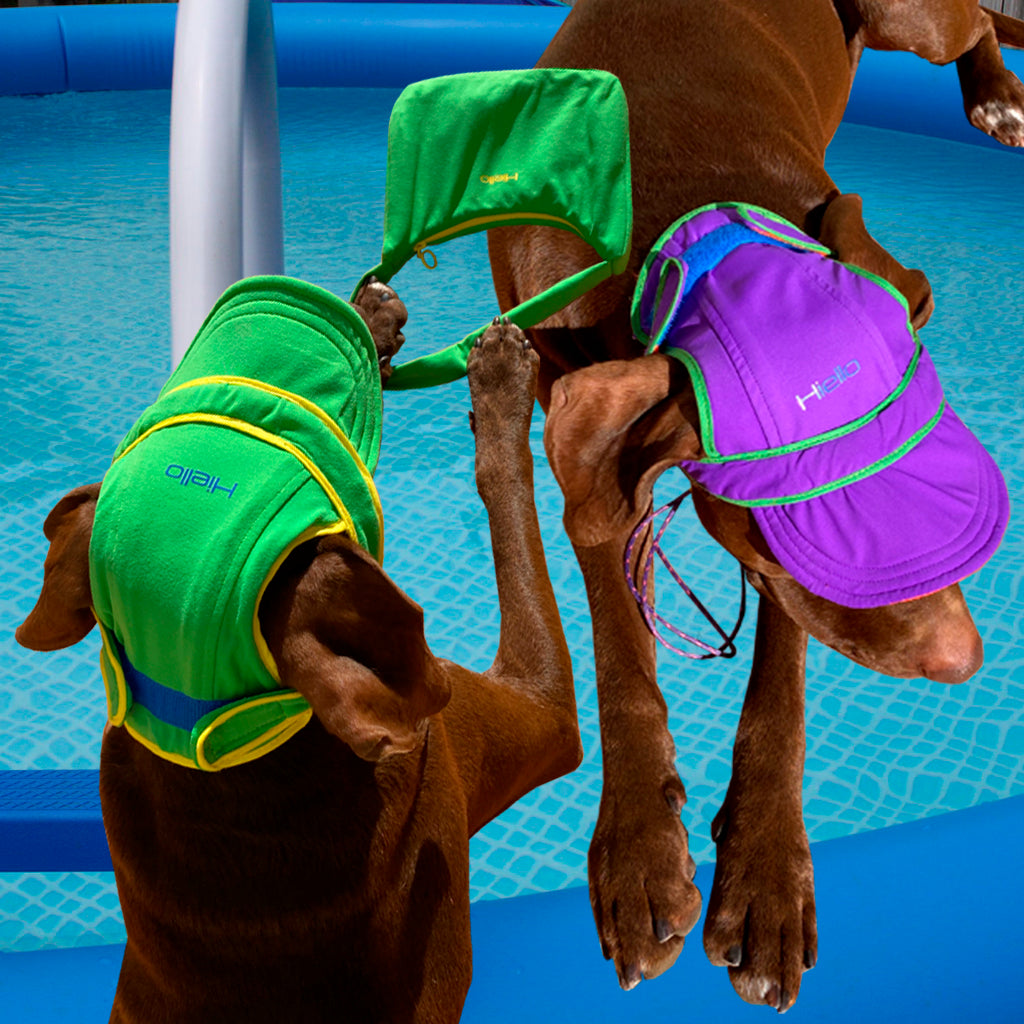dog swimming hat