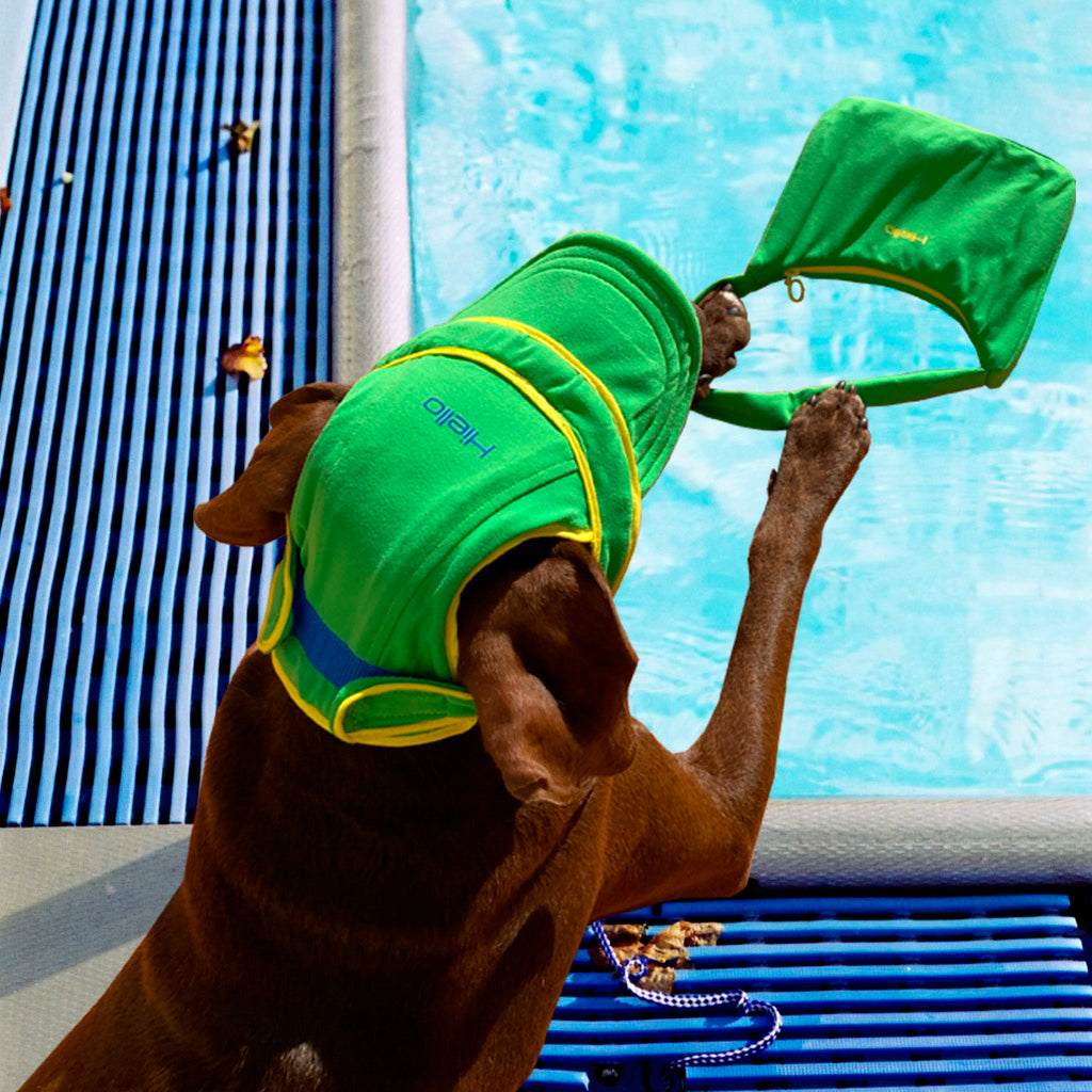 bathing cap for dogs