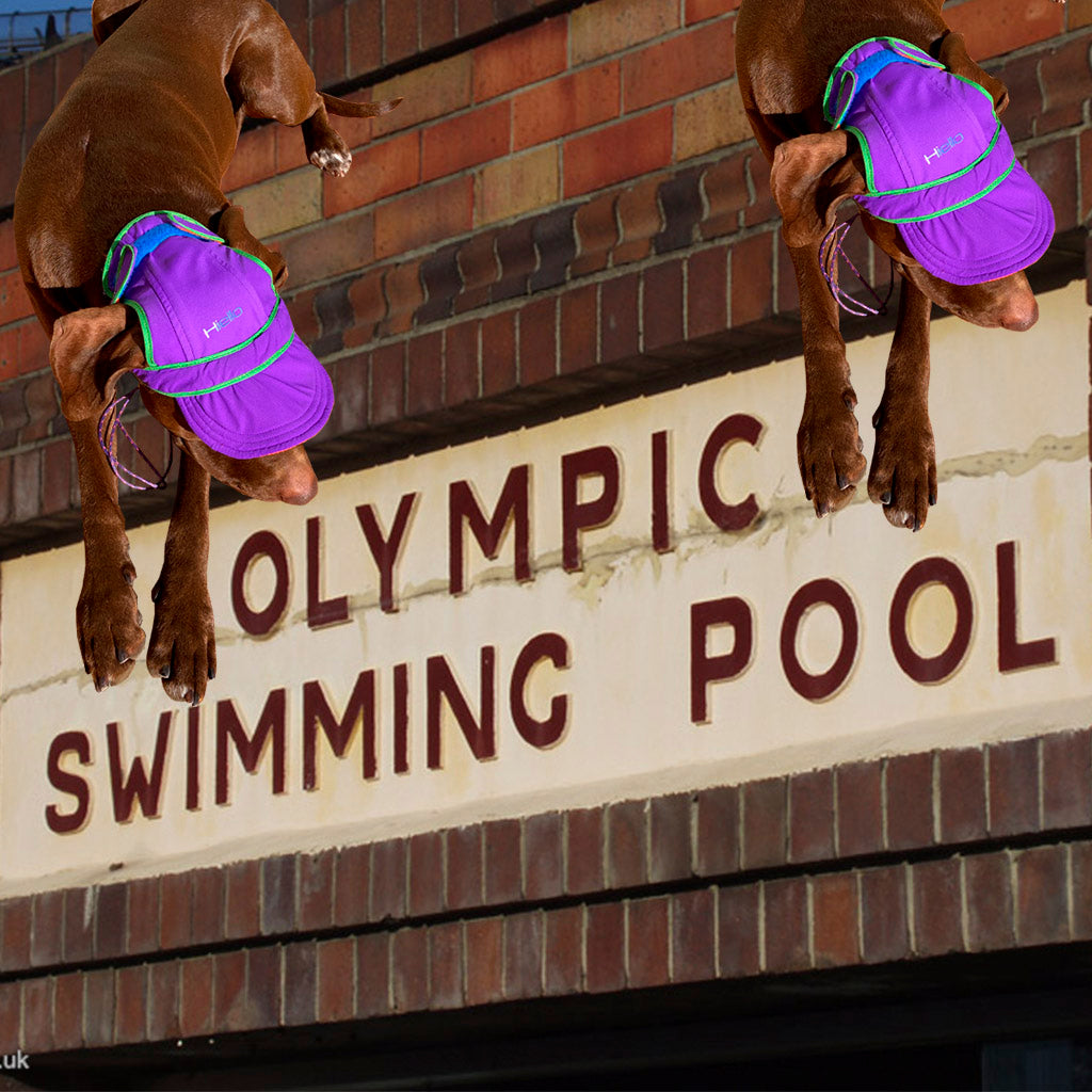dog bathing cap